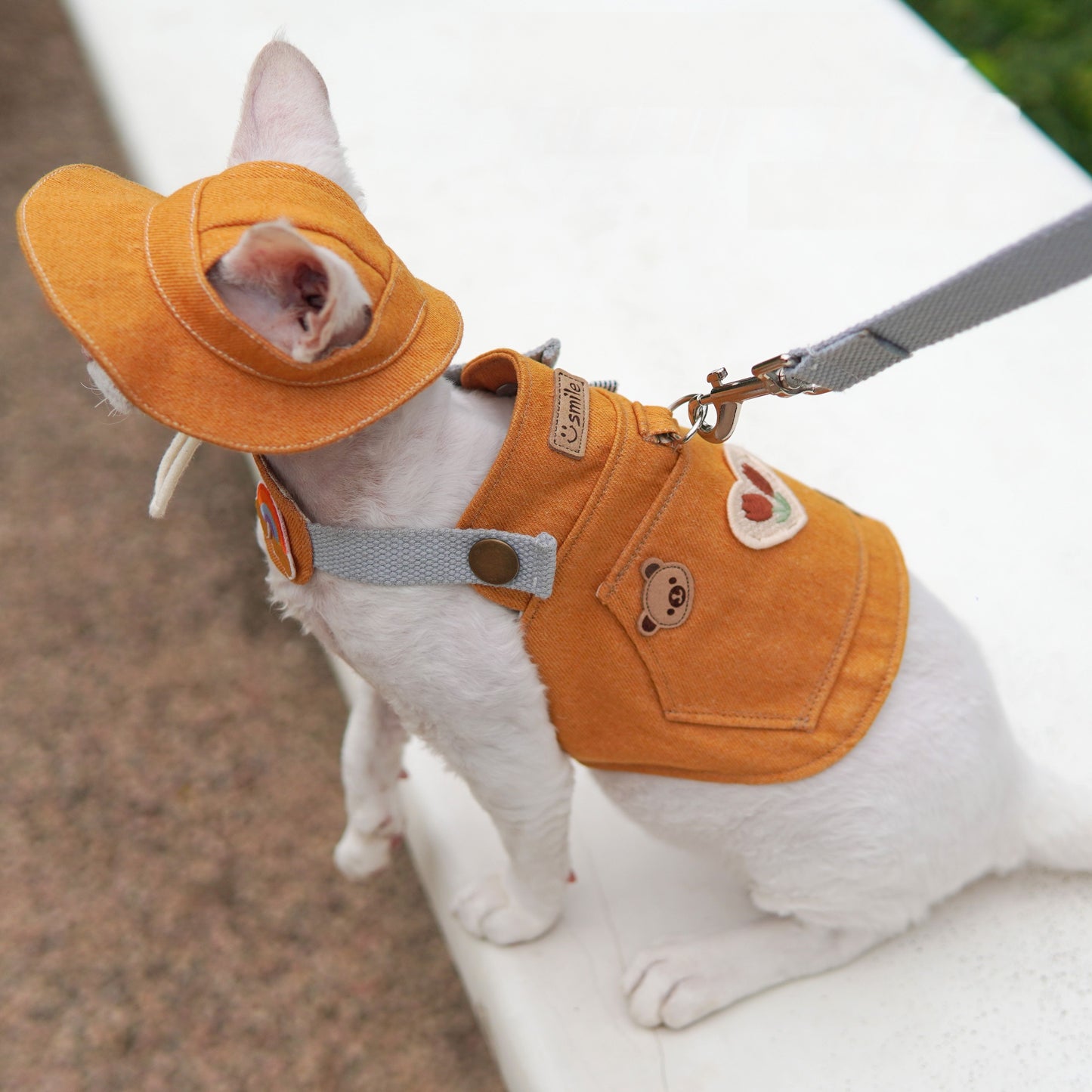 Original Orange Denim Pet Outfit with Embroidered Accents and Matching Hat - Cute and Playful Style for Outdoor Walks and Photoshoots for Pets