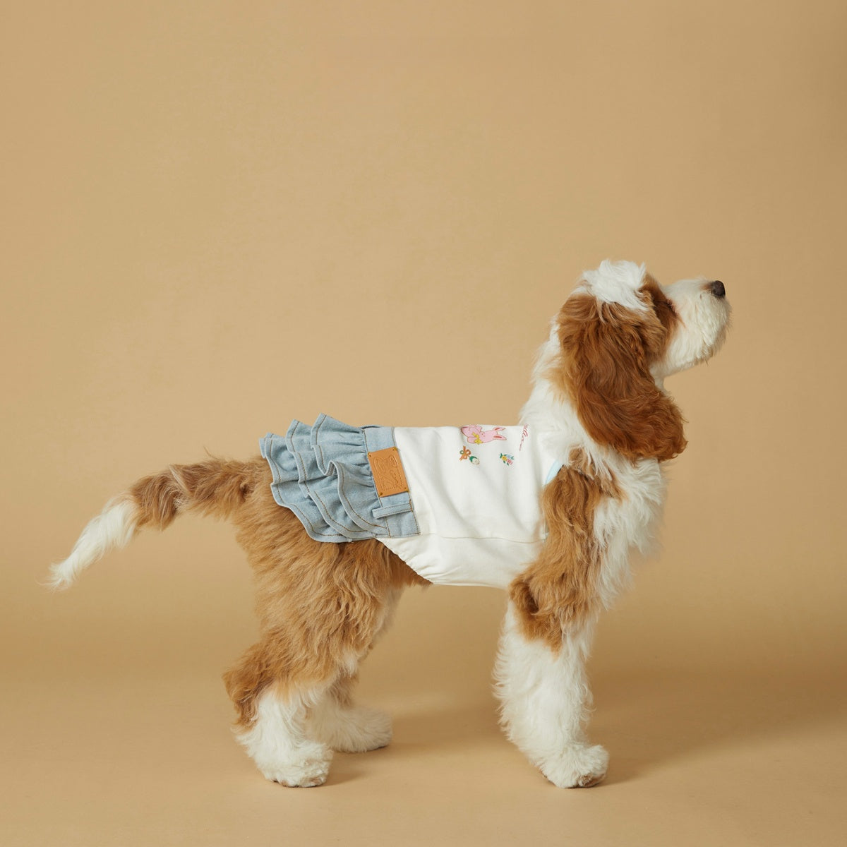 Original Denim Pet Dress with Ruffled Skirt and Cute Printed Top - Adorable and Playful Design, Perfect for Casual Wear, Photoshoots, and Special Occasions for Pets