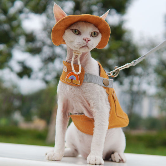 Original Orange Denim Pet Outfit with Embroidered Accents and Matching Hat - Cute and Playful Style for Outdoor Walks and Photoshoots for Pets