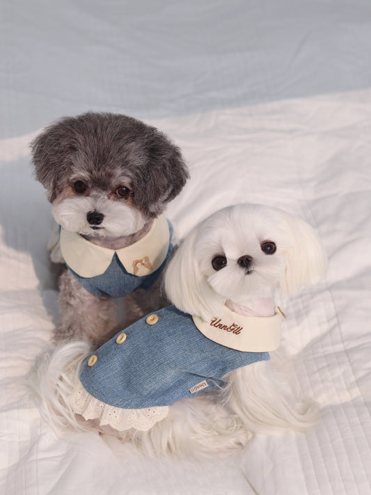 Original Lightweight Denim Outfit with Lace Hem and Buttoned Back - Vintage and Elegant Design, Perfect for Special Occasions and Daily Wear for Pets