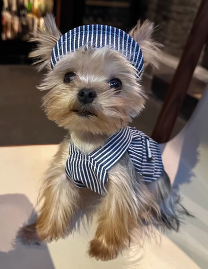 Original Denim Pet Outfit with Striped Denim Fabric and Matching Headband - Stylish, Charming Design for Pets, Lightweight, Comfortable, Fashionable for Special Occasions, Daily Wear, and Pet Photoshoots for Pets