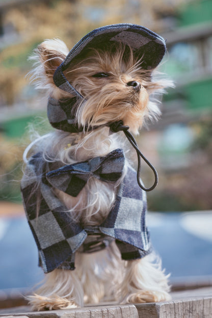 Original Denim Pet Outfit with Checkered Denim Jacket and Matching Cap - Stylish, Cozy, Playful Design, Keeps Them Warm, Durable, and Fashionable for Outdoor Walks and Photoshoots for Pets