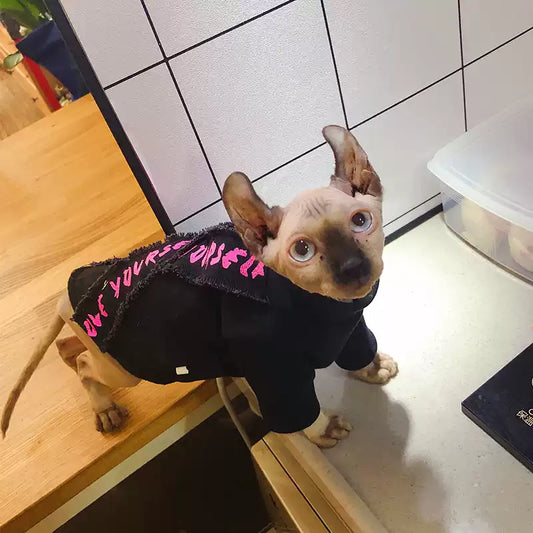 Original Denim fabric laminated with Cotton Pet Hoodie with Pink Graffiti Design - Trendy, Edgy Style, Comfortable and Cool for Casual Outings and Photoshoots for Pets