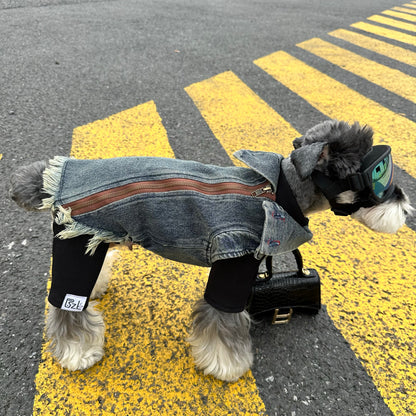 Original Denim Dog Outfit with Rugged Denim Vest and Black Inner Layer - Edgy, Urban, Fashionable Design, Stylish Protection, Comfort, Warmth for Streetwear, Photoshoots, and Outings for Pets