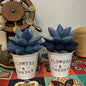 Trendy Denim Flower Arrangement with Denim Petals and Layered Succulent Flower Design - Rustic, Eco-Friendly Design for Home Decor, Garden-Themed Interiors, and Creative Gift Ideas, Durable, Stylish, Handcrafted for Unisex