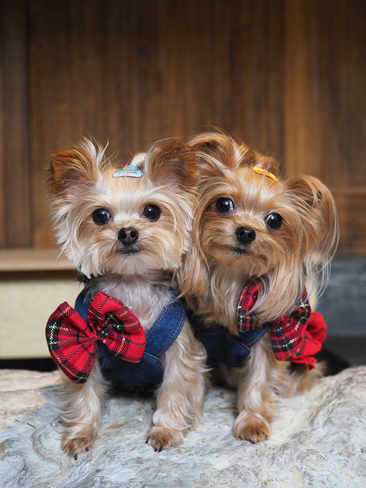 Original Denim Dog Dress Design with Blue Denim and Red Plaid Ruffled Skirt – Cute, Fashionable for Daily Wear, Outings, Special Occasions, Ideal for Keeping Your Pet Stylish and Comfortable for Pets