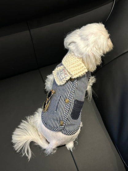 Trendy Denim Pet Outfit with Sunglasses, Striped Denim Vest, and Cozy White Fleece Lining - Trendy, Casual Design for Pets, Comfortable, Breathable, Fashionable for Casual Wear, Stylish Outings, and Photo Opportunities for Pets