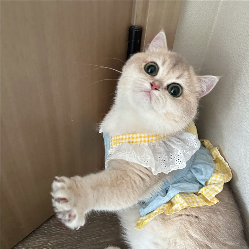 Trendy Cat Dress with Denim Fabric, Yellow Gingham Frills, and Chick-Shaped Applique - Cute, Playful Design , Perfect for Everyday and Outdoor Wear for Pets