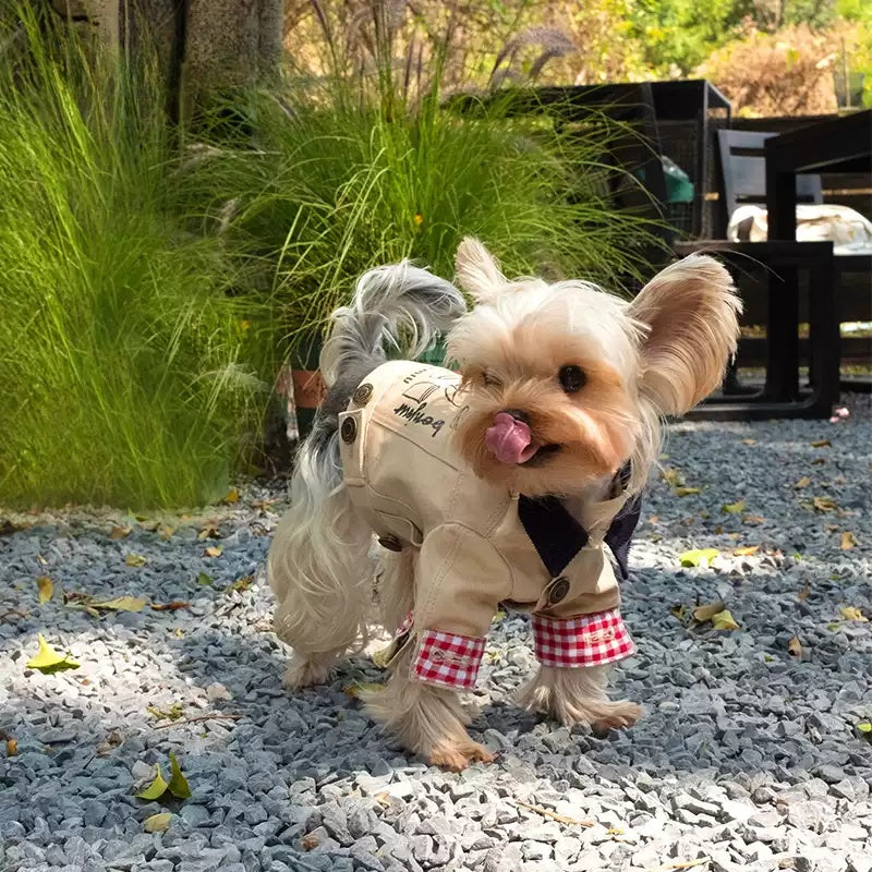 Trendy Beige Denim Dog Vest with Paris-Themed Embroidery and Gingham Accents - Cute, Fashionable Design, Soft and Comfortable for Casual Wear, Photo Shoots, and Everyday Outings for Pets