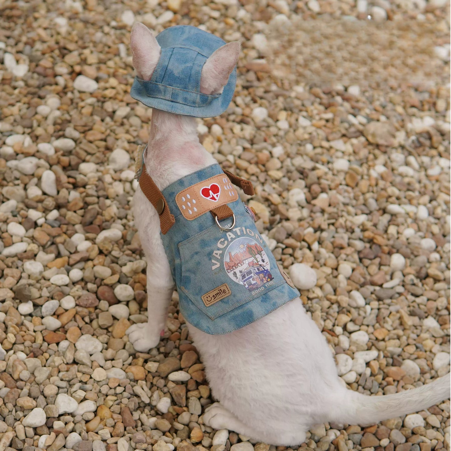 Trendy Denim Pet Outfit with Vacation Graphic and Adjustable Harness - Casual, Fun, Comfortable Design for Outdoor Walks, Photo Shoots, and Casual Outings for Pets